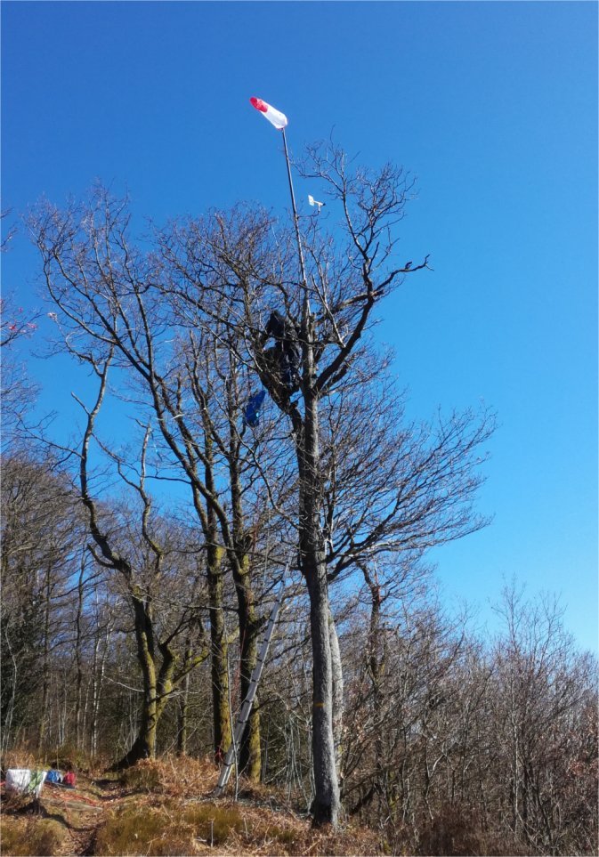 Pioupiou et manche à air sont du même avis sur la direction du vent